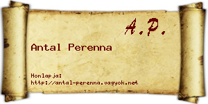 Antal Perenna névjegykártya